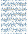 Pergola Wallpaper, Powder