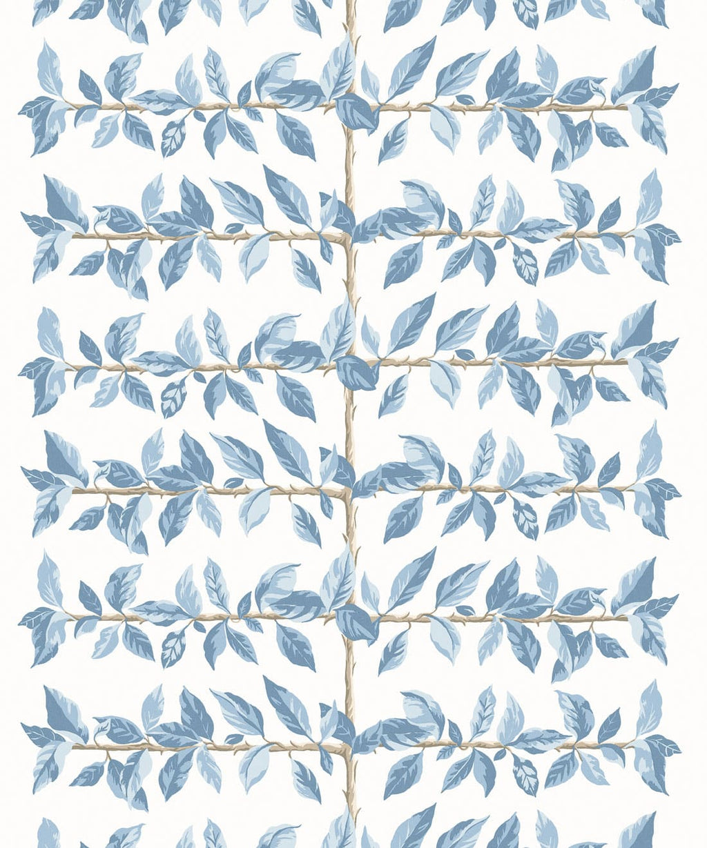 Pergola Wallpaper, Powder