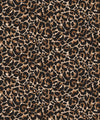 Wildcat Wallpaper, Leopard