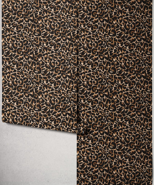 Wildcat Wallpaper, Leopard