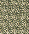 Tail Feather Wallpaper, Parakeet