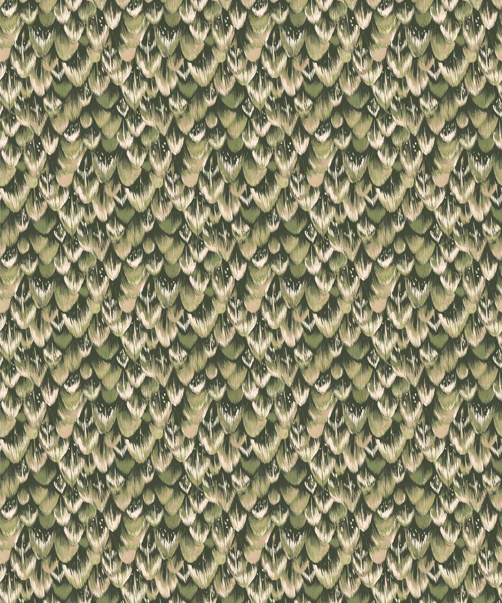 Tail Feather Wallpaper, Parakeet
