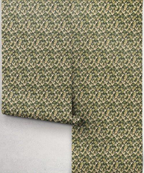 Papel pintado Pluma de cola, periquito