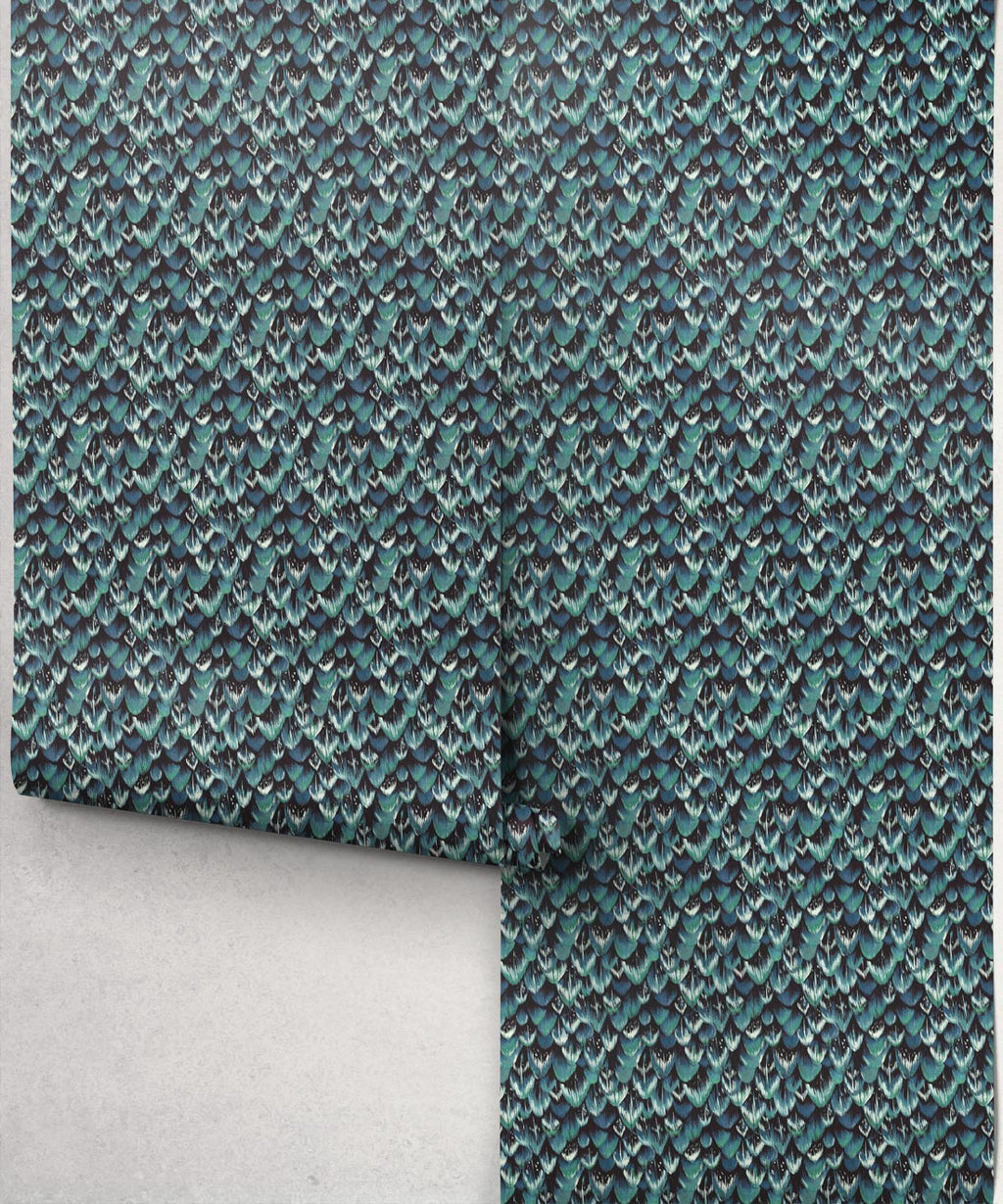 Tail Feather Wallpaper, Peacock