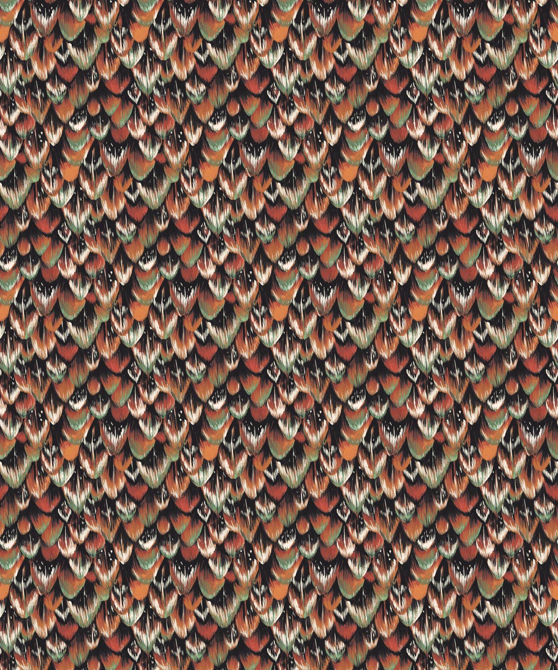 Tail Feather Wallpaper, Pheasant