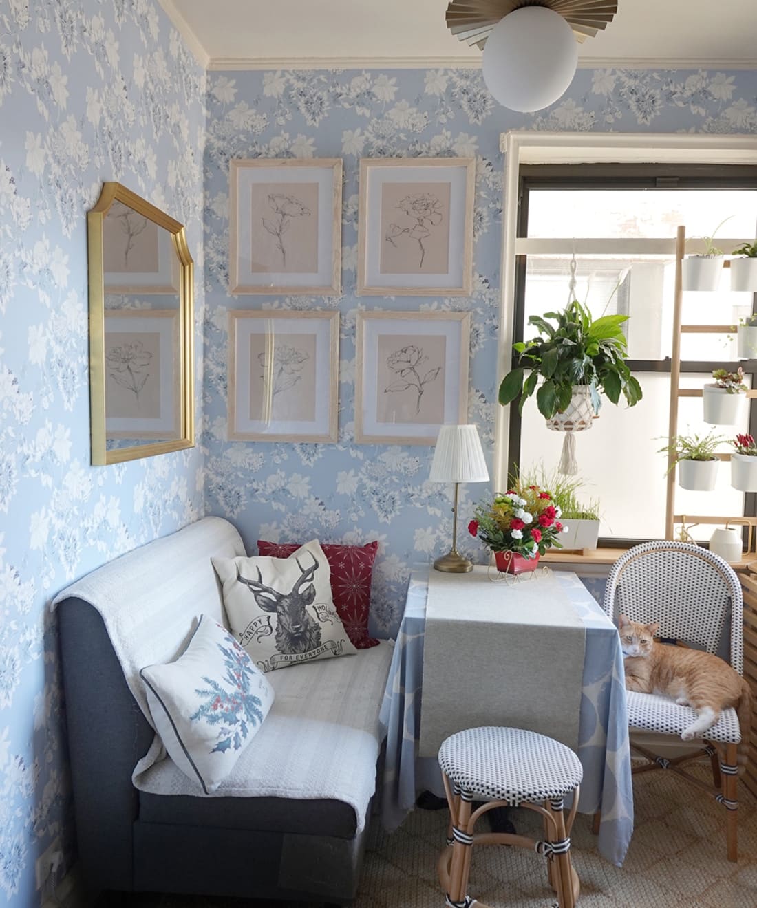 Protea Wallpaper, Blue Bell