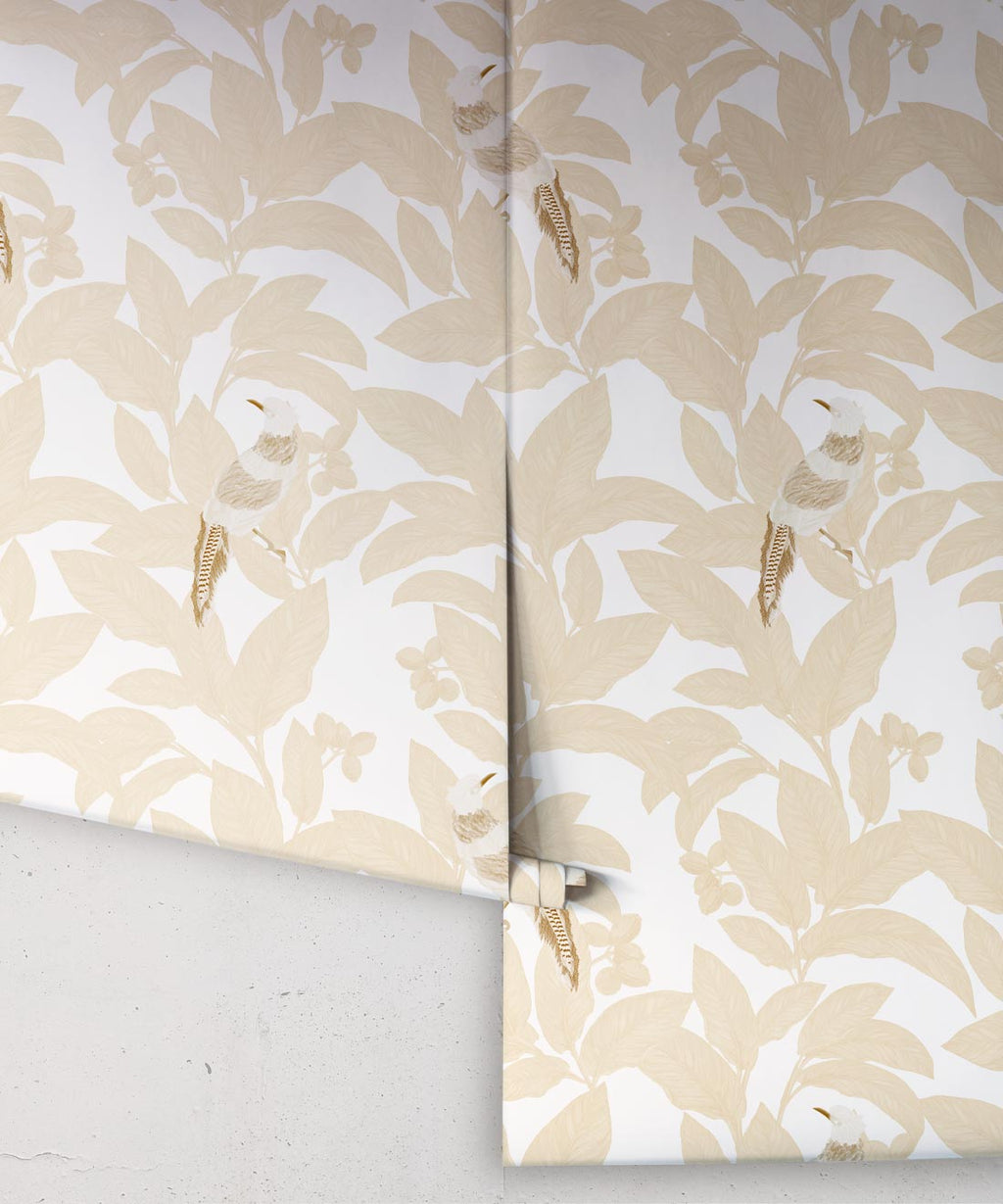 Pheasant Wallpaper, Honey Peach
