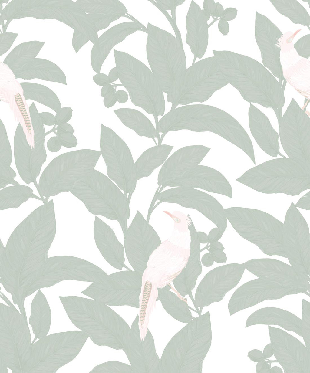 Pheasant Wallpaper, Seafoam