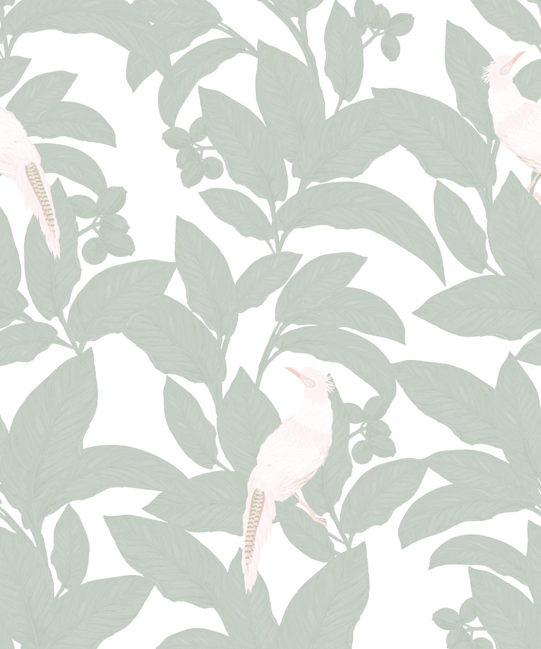 Pheasant Wallpaper, Seafoam