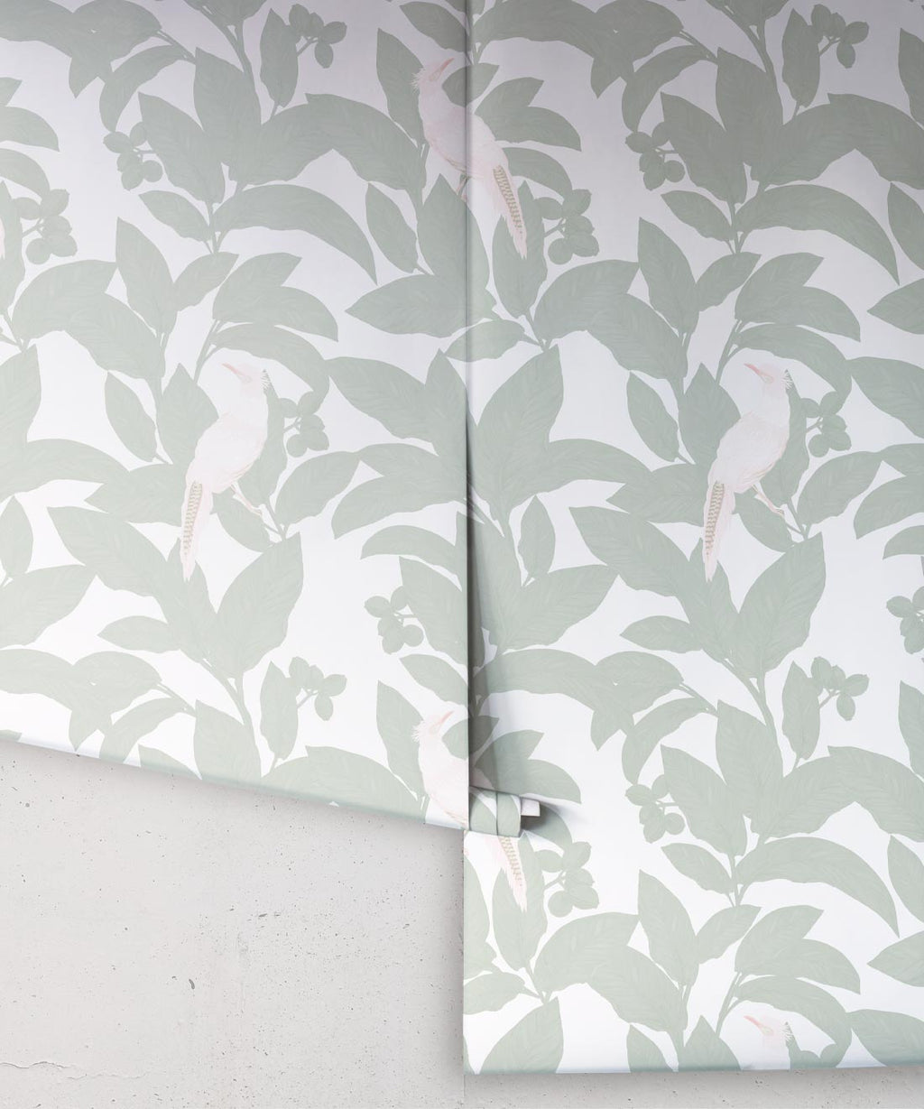 Pheasant Wallpaper, Seafoam