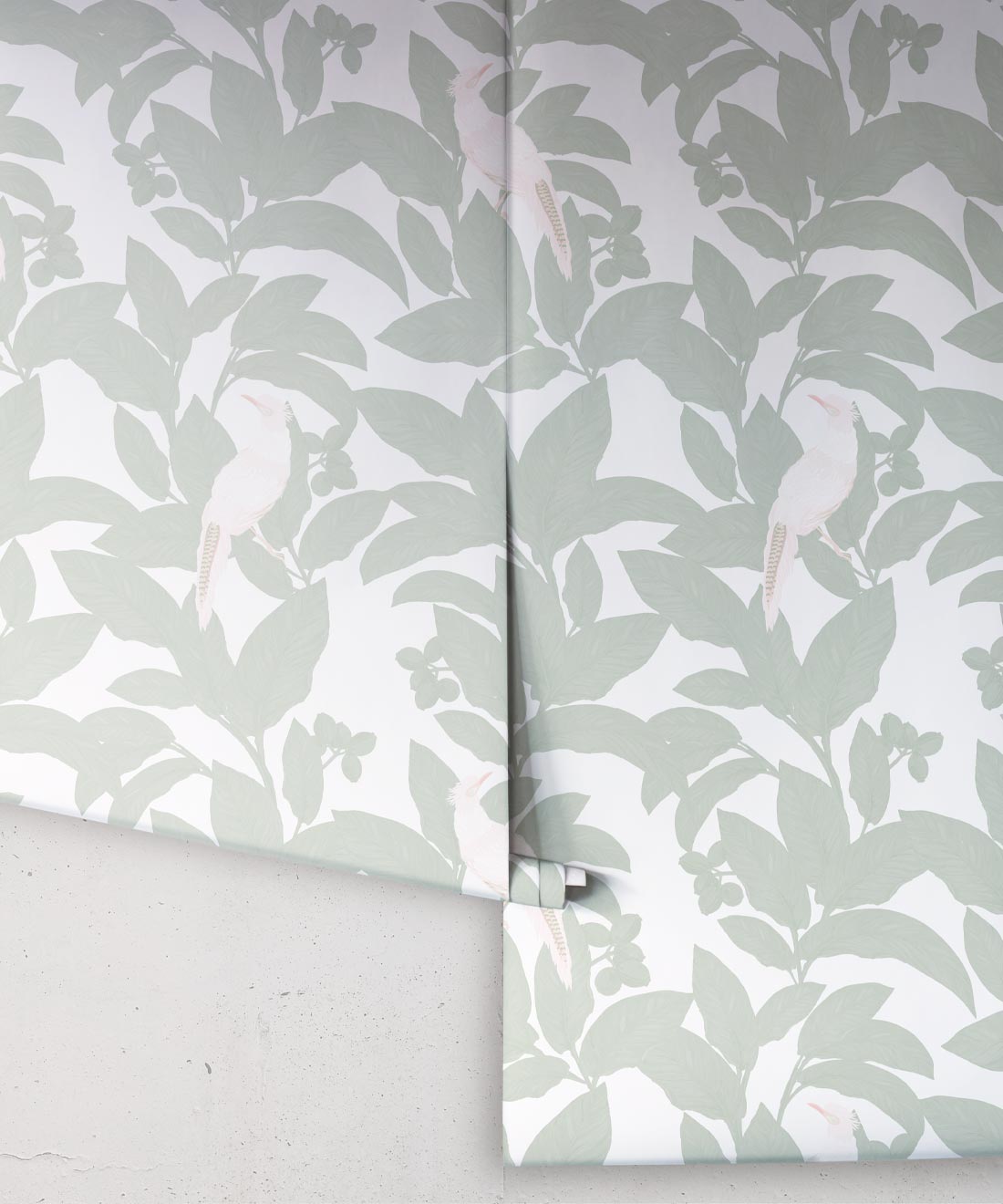 Pheasant Wallpaper, Seafoam