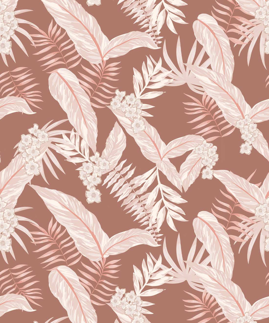 Cooktown Orchids Wallpaper, Ginger Spice