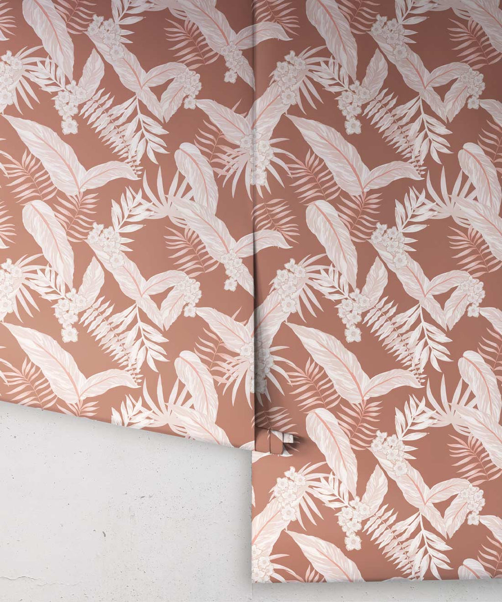 Cooktown Orchids Wallpaper, Ginger Spice