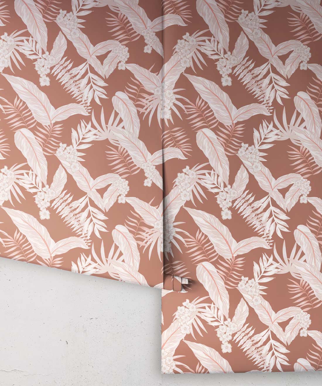 Cooktown Orchids Wallpaper, Ginger Spice