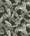 Cooktown Orchids Wallpaper, Ivy Green