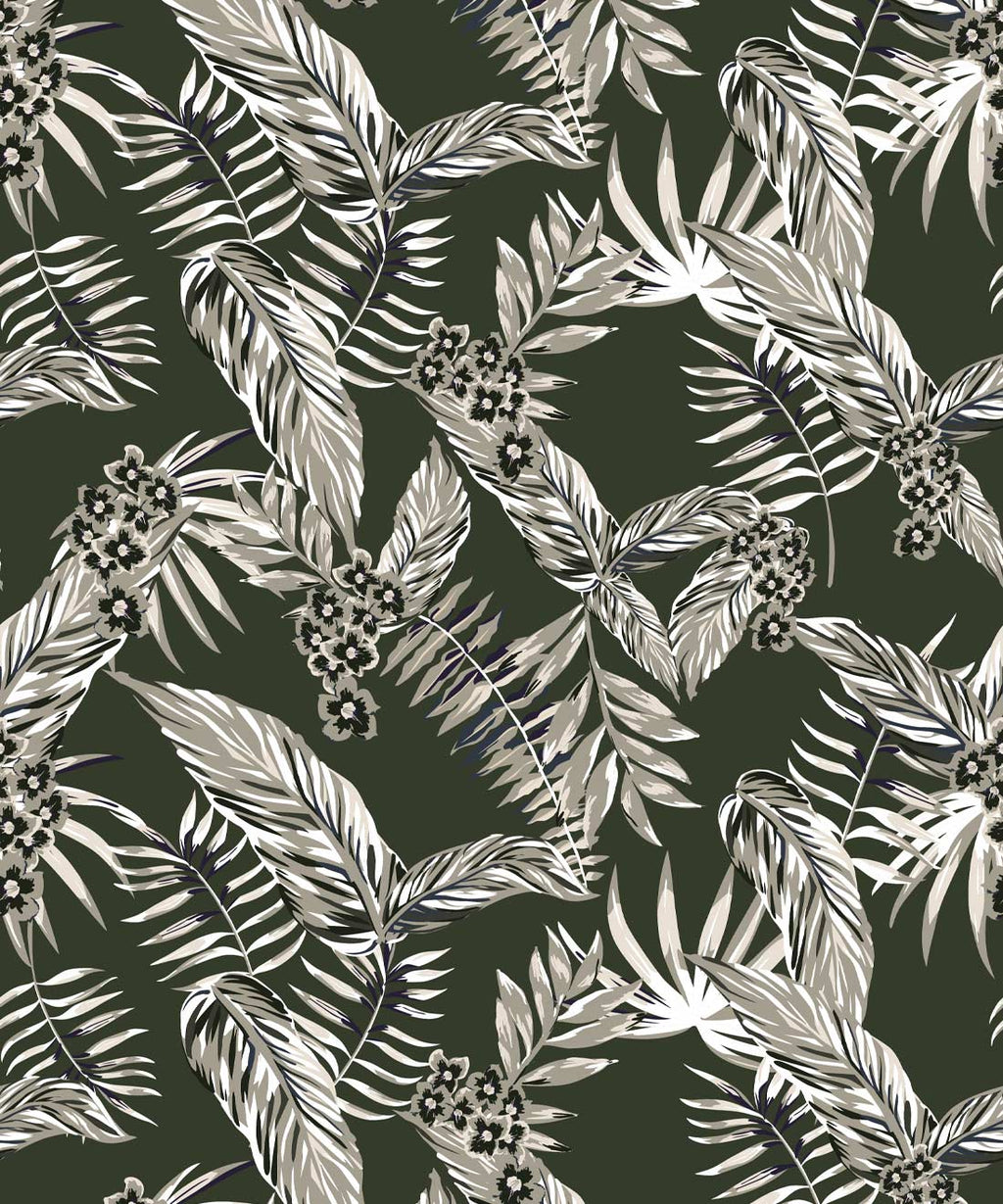 Cooktown Orchids Wallpaper, Ivy Green