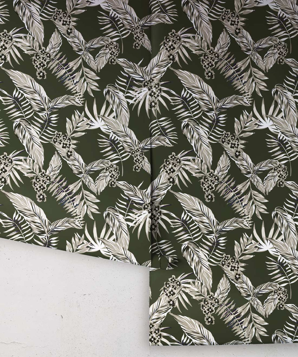 Cooktown Orchids Wallpaper, Ivy Green