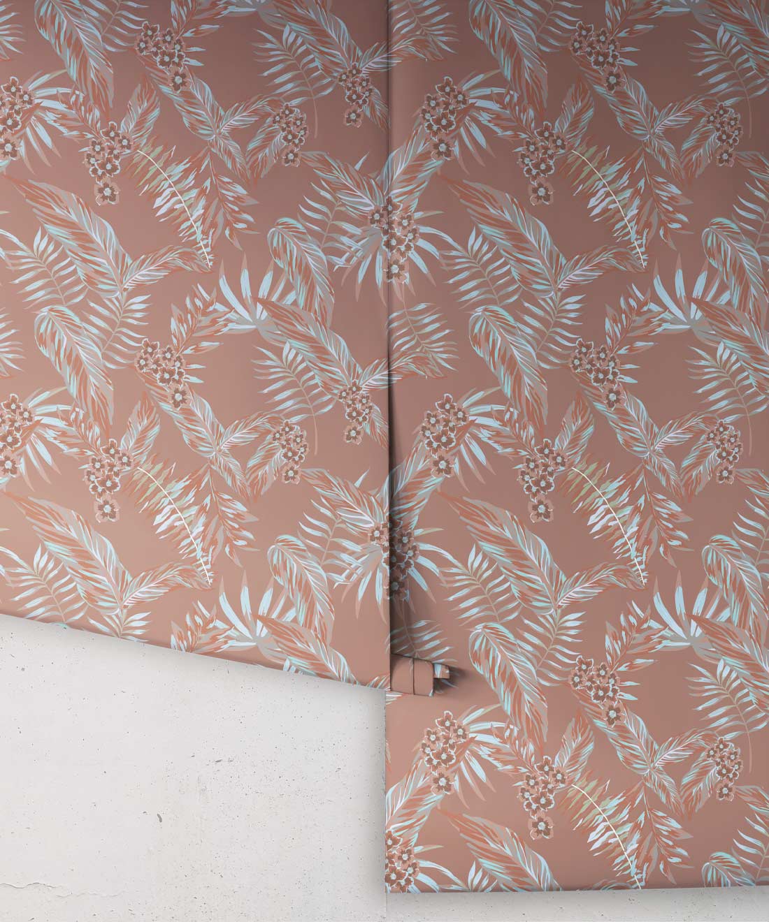 Cooktown Orchids Wallpaper, Rose