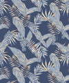 Cooktown Orchids Wallpaper, Sky