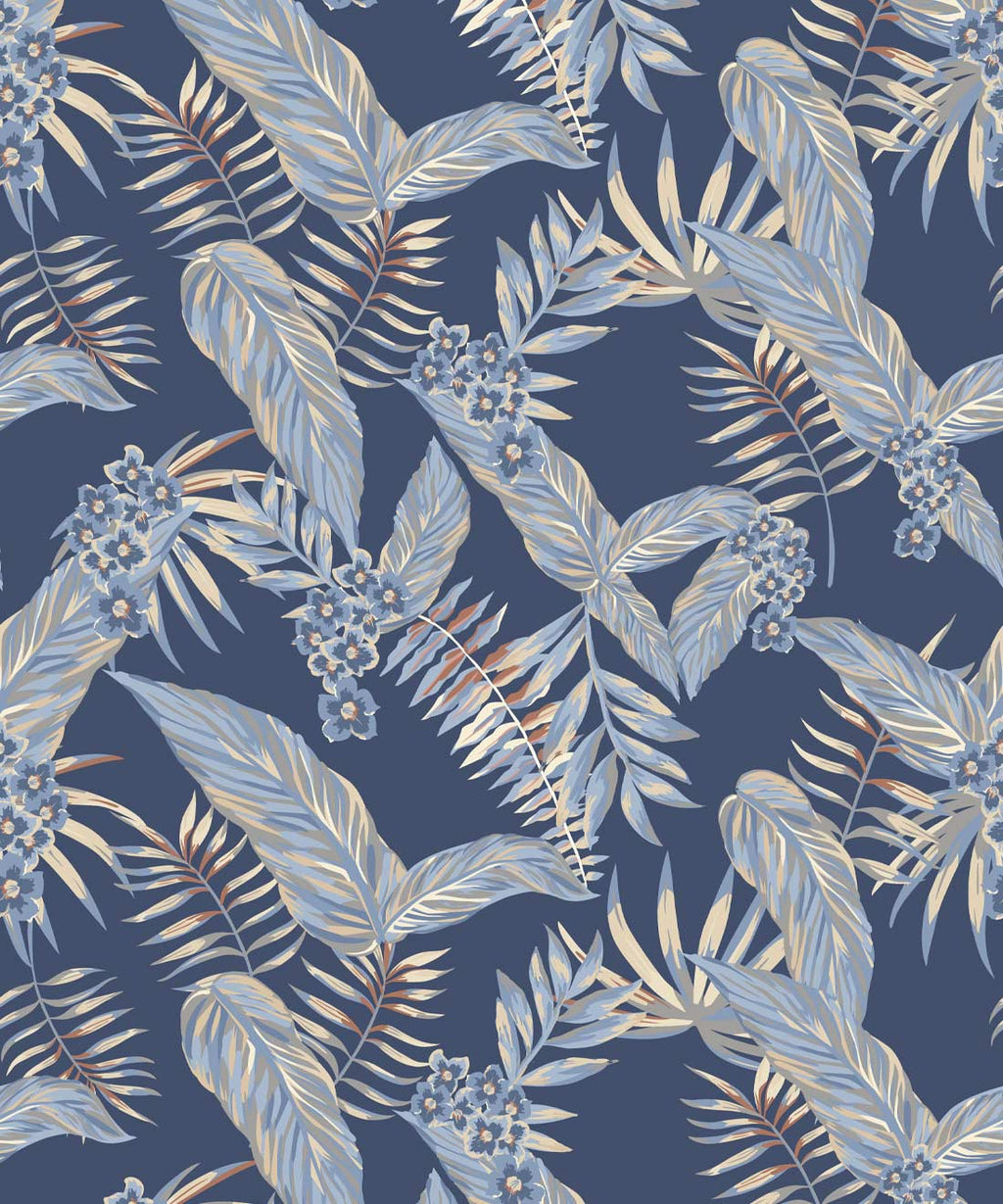 Cooktown Orchids Wallpaper, Sky