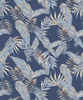 Cooktown Orchids Wallpaper, Sky