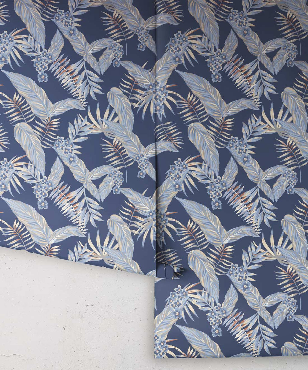 Cooktown Orchids Wallpaper, Sky