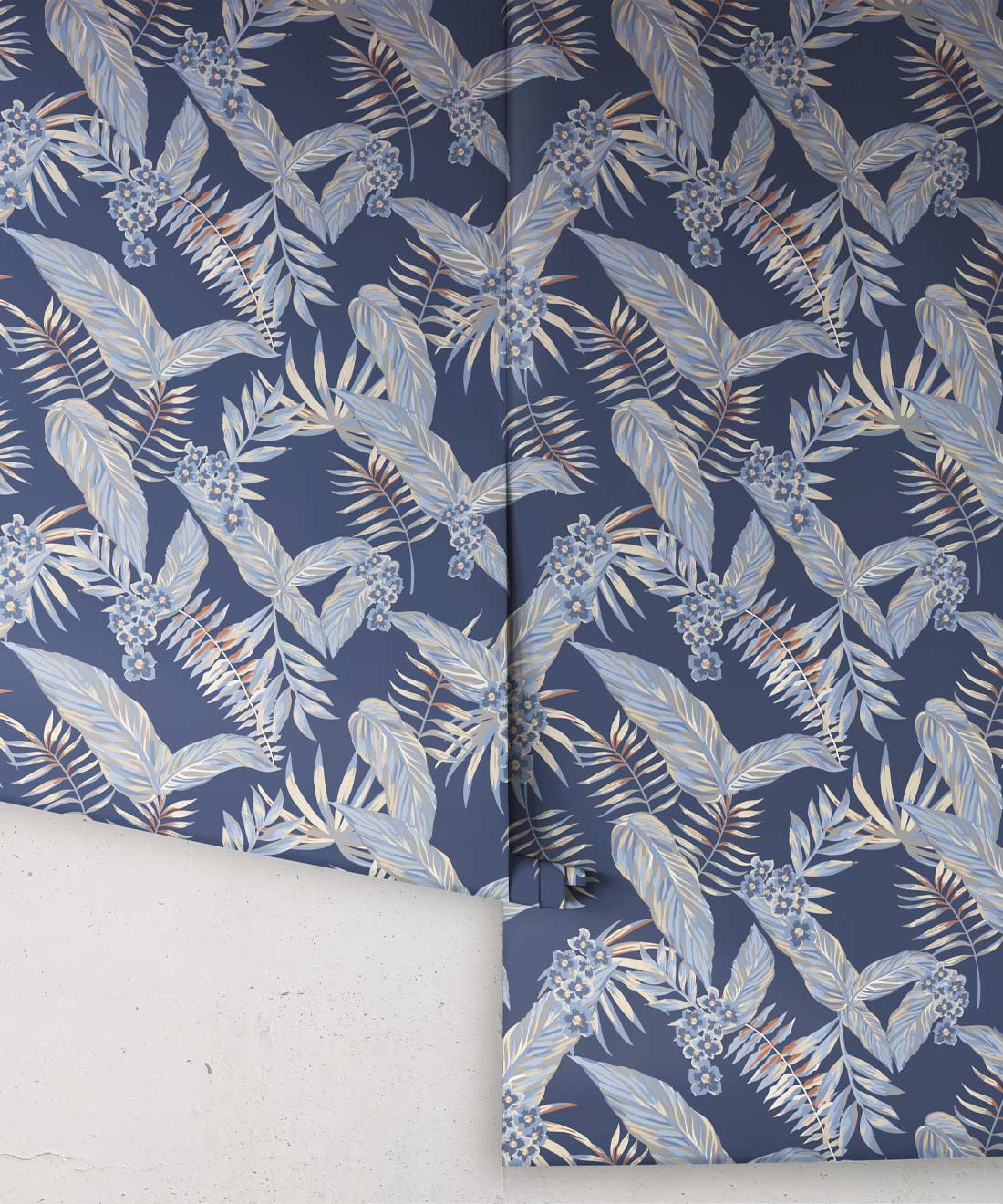 Cooktown Orchids Wallpaper, Sky