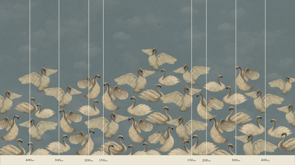 Night Swans - Sky
