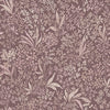 Nocturne 7268 - Rose