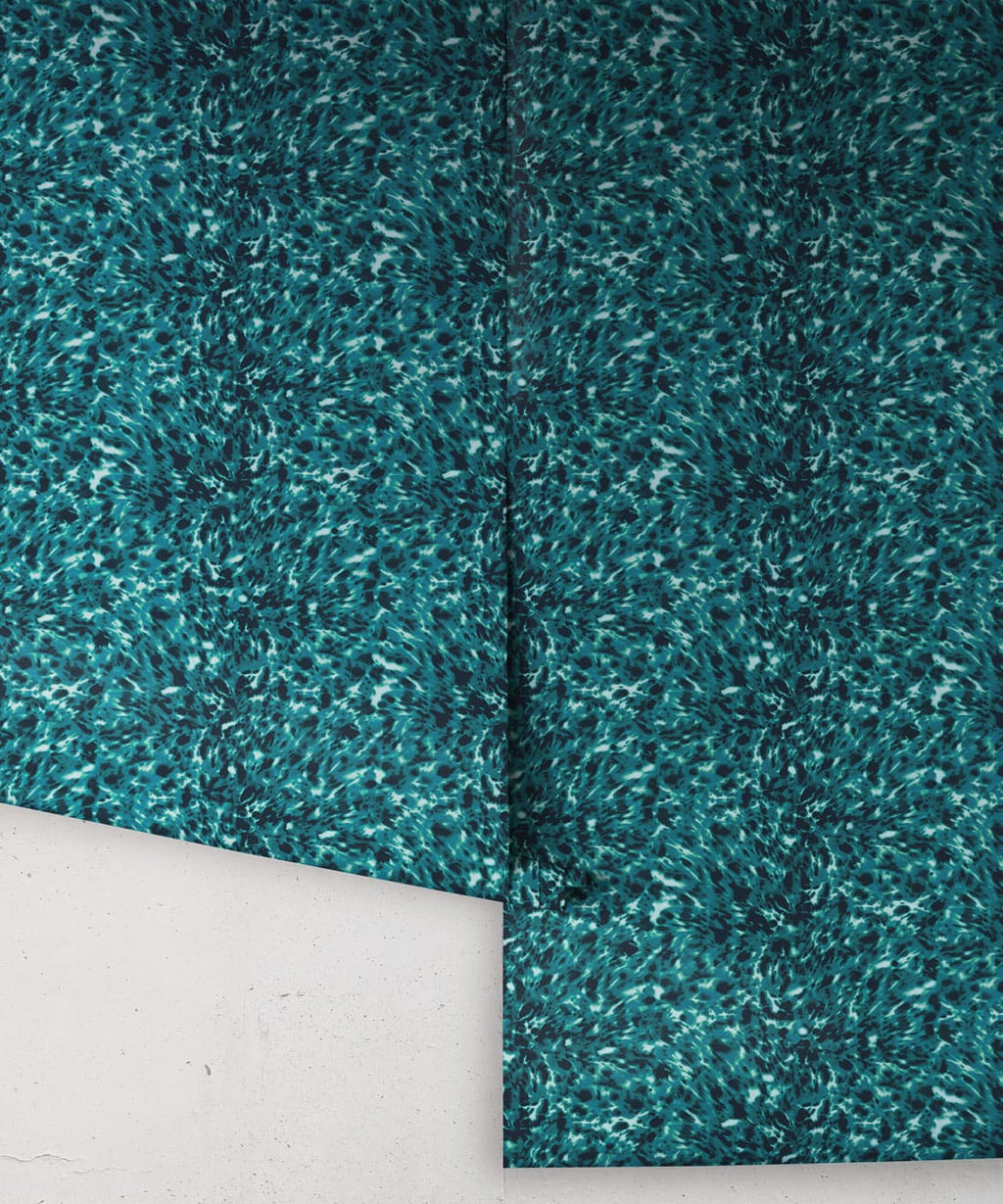 Lonesome George Wallpaper, Lagoon