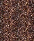 Lonesome George Wallpaper, Walnut