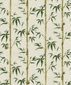 Money Tree Wallpaper, Bamboo