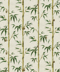 Money Tree Wallpaper, Bamboo