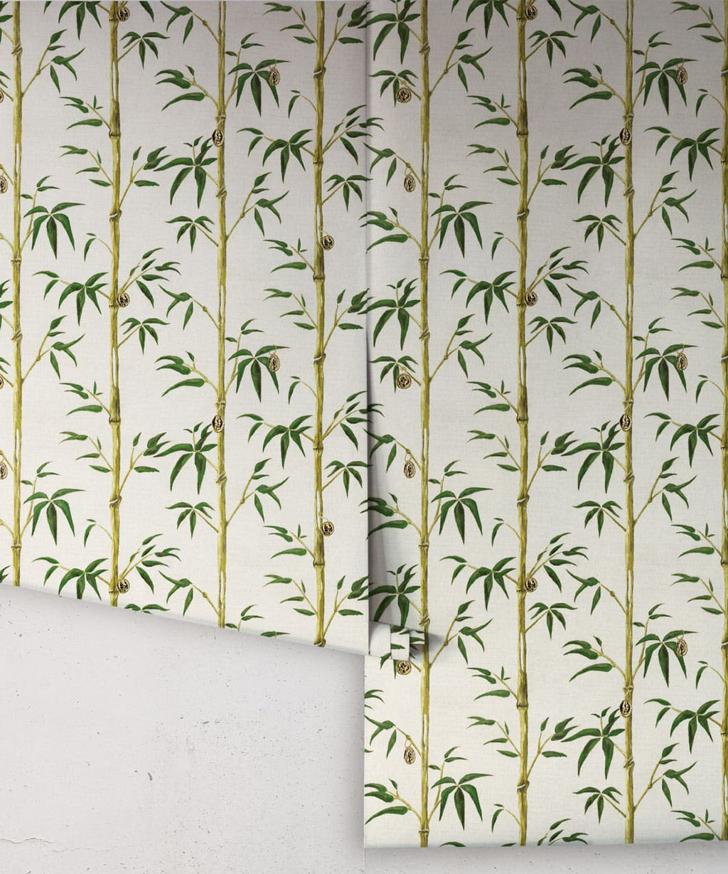 Money Tree Wallpaper, Bamboo