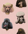 Poodle Parlour Wallpaper, Pink Paws