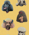 Poodle Parlour Wallpaper, Retro