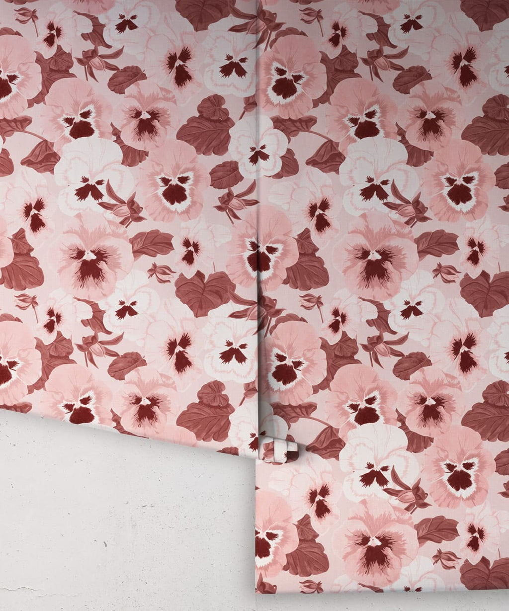 Big Pansy Wallpaper, Blossom