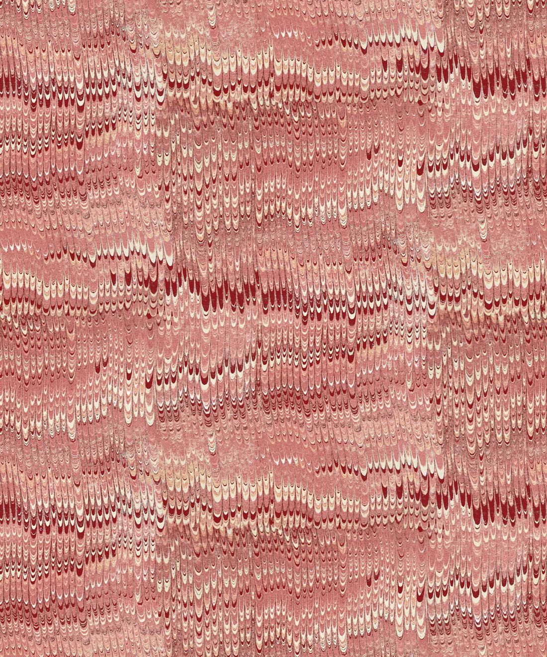 1970 Wallpaper, Rosa