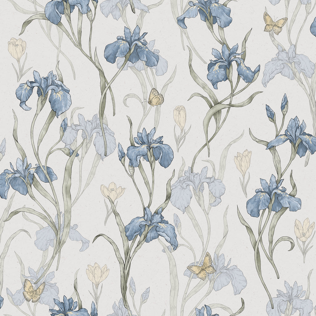 Iris, Sky Blue
