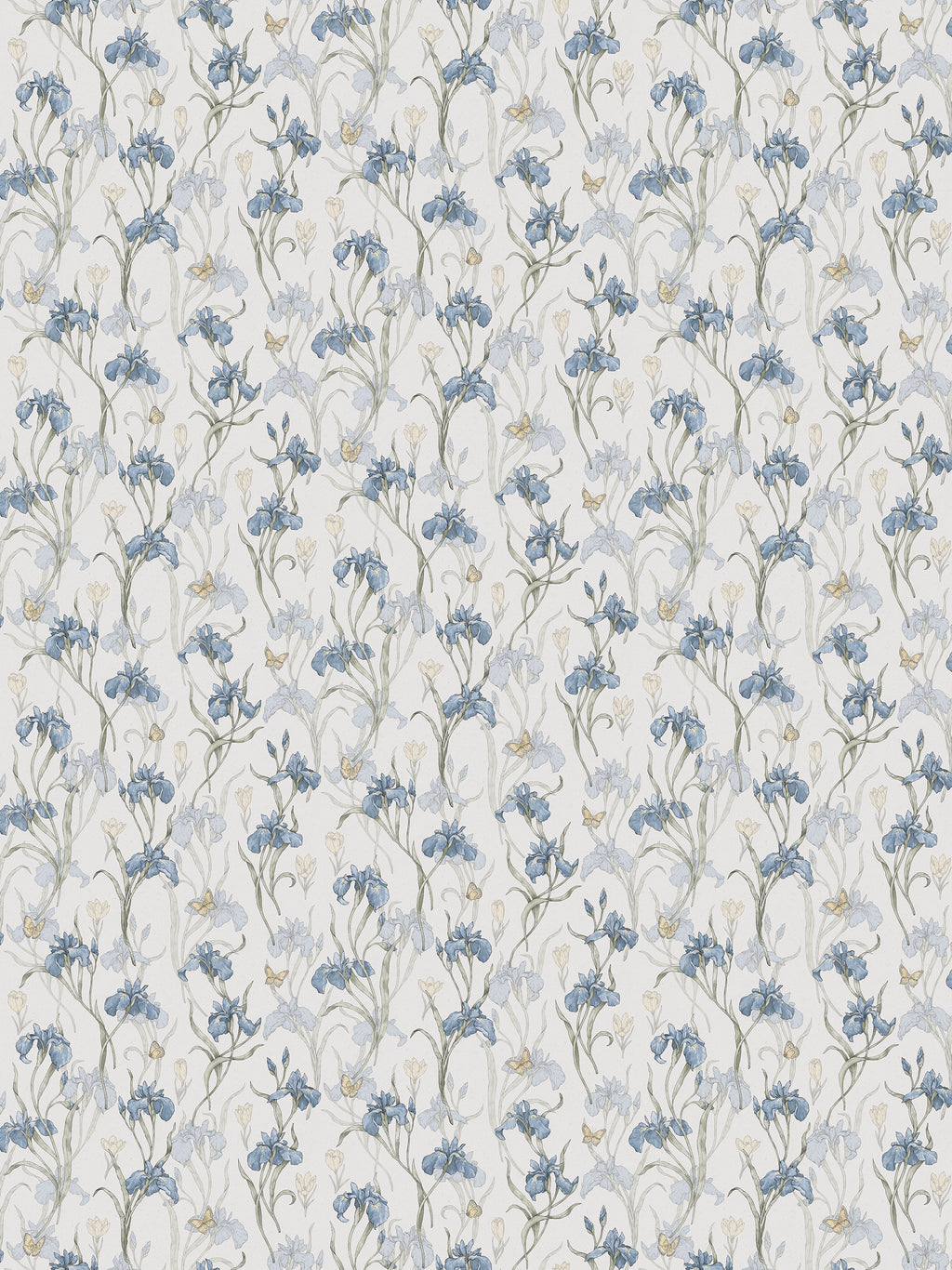 Iris, Sky Blue