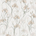 Iris, Powder Pink