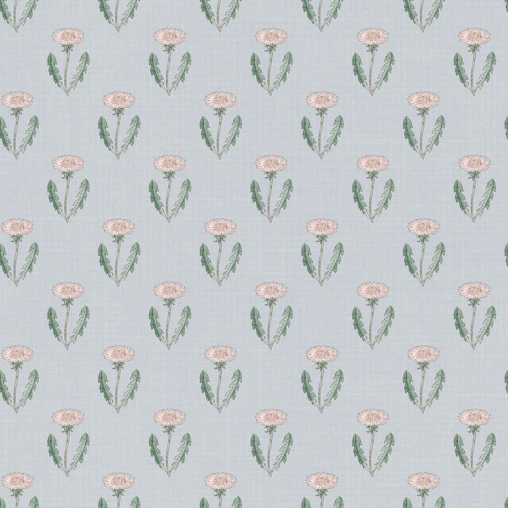 Maskrosen, Soft Blue