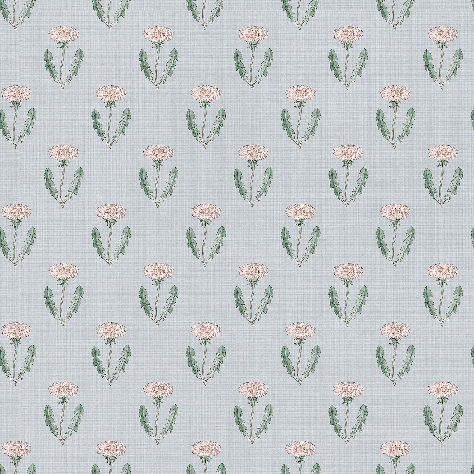 Maskrosen, Soft Blue