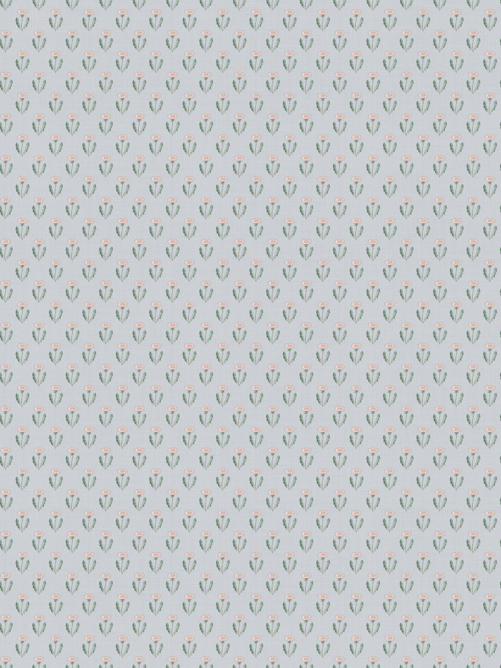 Maskrosen, Soft Blue