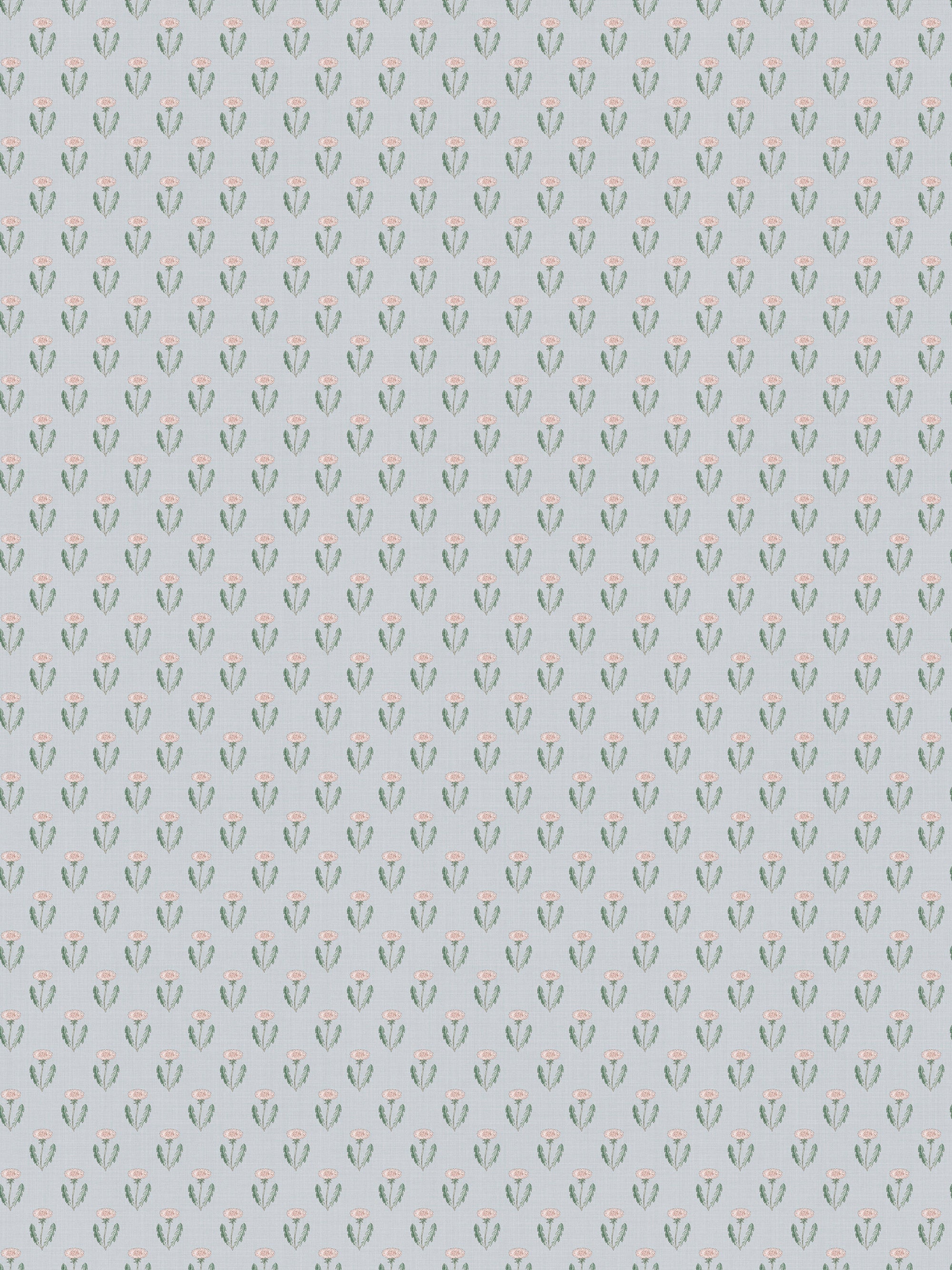 Maskrosen, Soft Blue