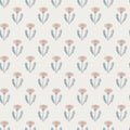 Maskrosen, Pink
