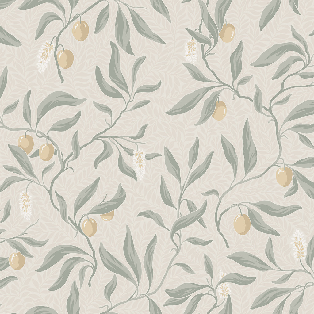 Vinnie, Sage Green