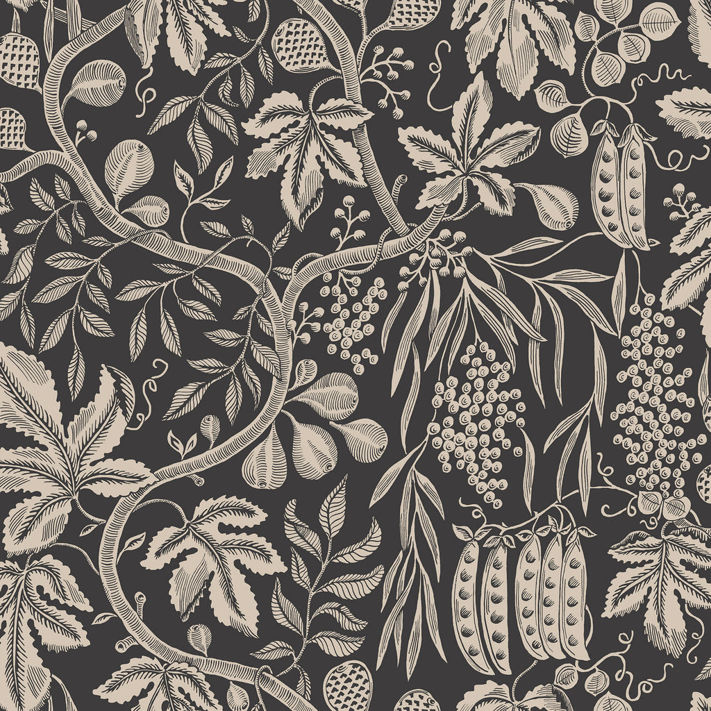 Fig Garden, Charcoal