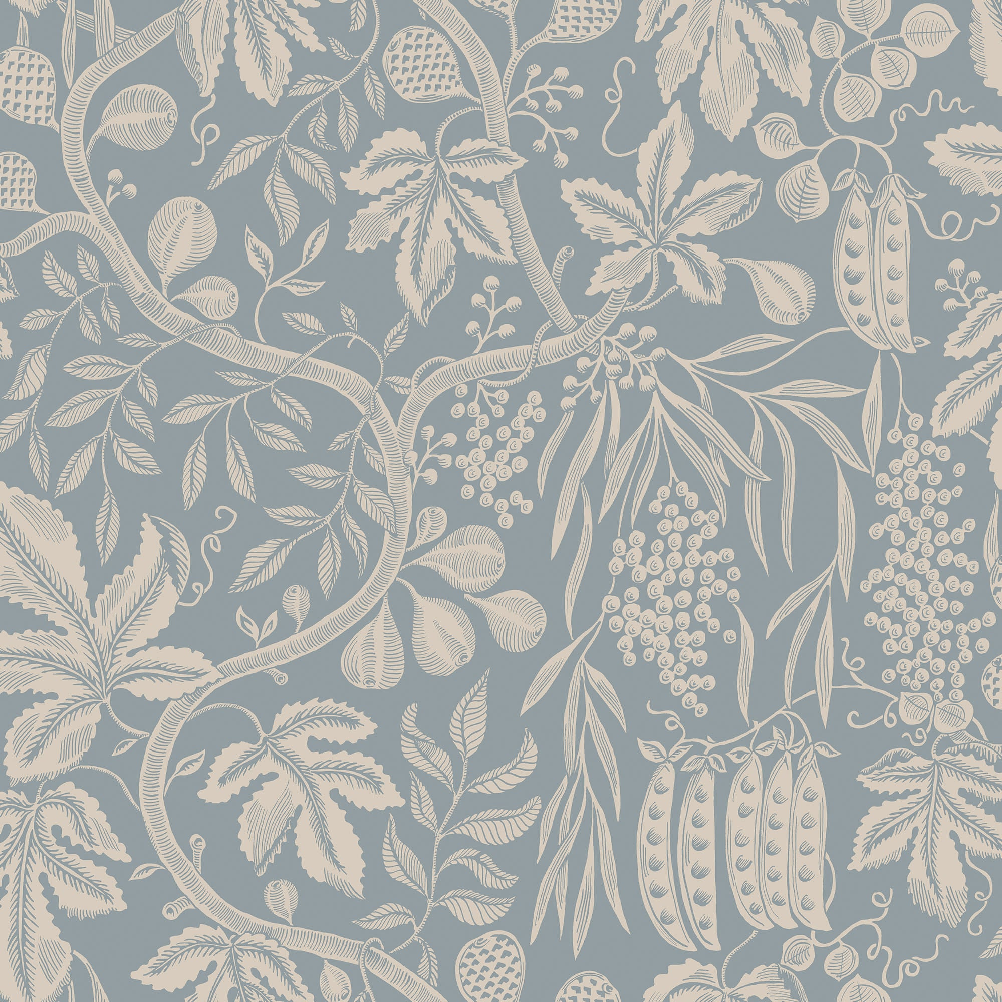 Fig Garden, Misty Blue