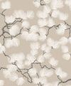 Pine, Beige